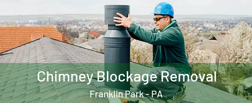 Chimney Blockage Removal Franklin Park - PA