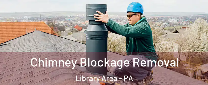 Chimney Blockage Removal Library Area - PA