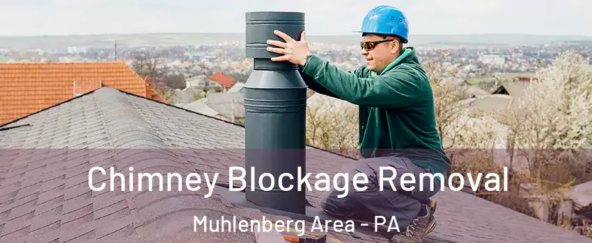 Chimney Blockage Removal Muhlenberg Area - PA