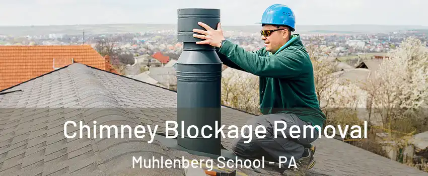 Chimney Blockage Removal Muhlenberg School - PA