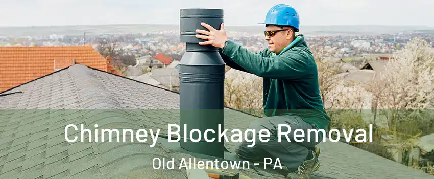 Chimney Blockage Removal Old Allentown - PA