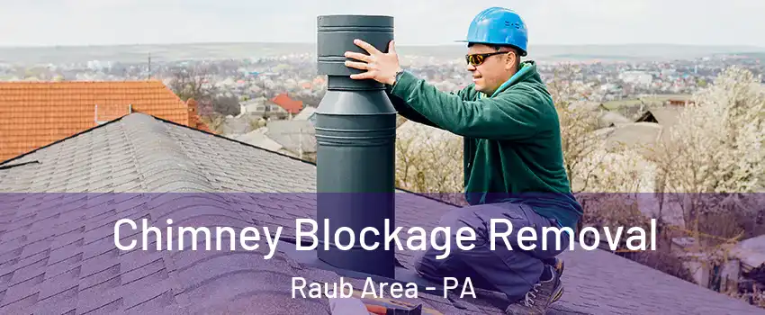 Chimney Blockage Removal Raub Area - PA