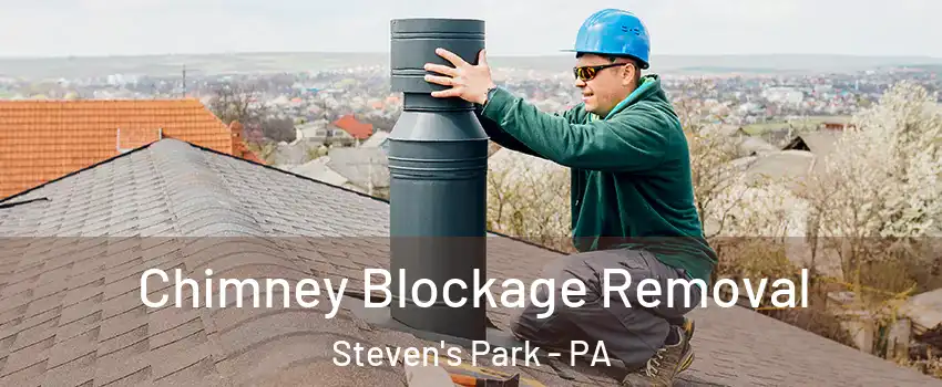 Chimney Blockage Removal Steven's Park - PA