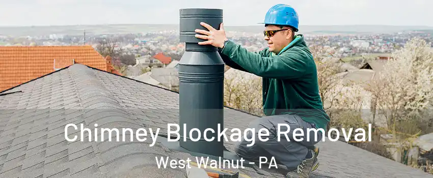 Chimney Blockage Removal West Walnut - PA