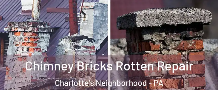 Chimney Bricks Rotten Repair Charlotte's Neighborhood - PA