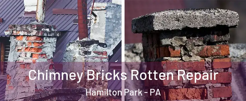 Chimney Bricks Rotten Repair Hamilton Park - PA