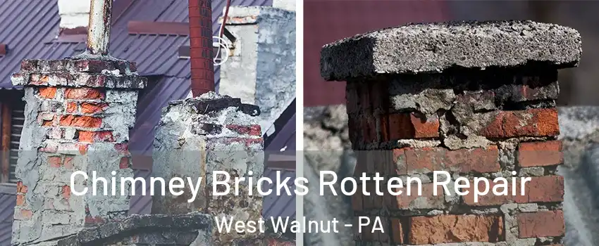 Chimney Bricks Rotten Repair West Walnut - PA