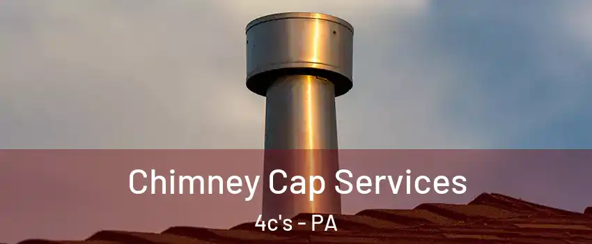 Chimney Cap Services 4c's - PA