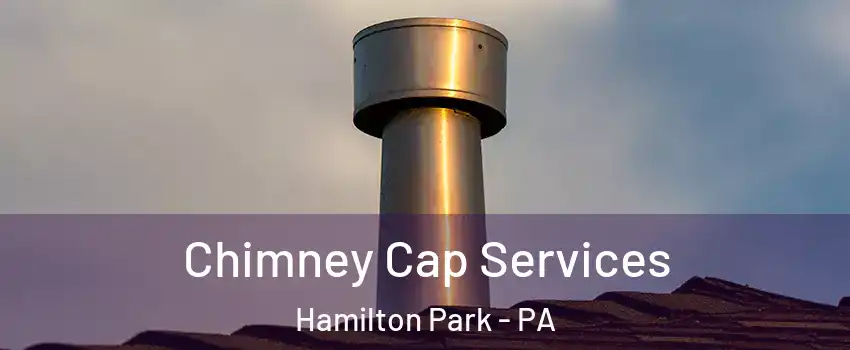 Chimney Cap Services Hamilton Park - PA