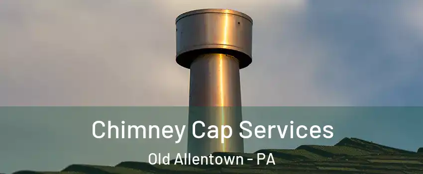 Chimney Cap Services Old Allentown - PA