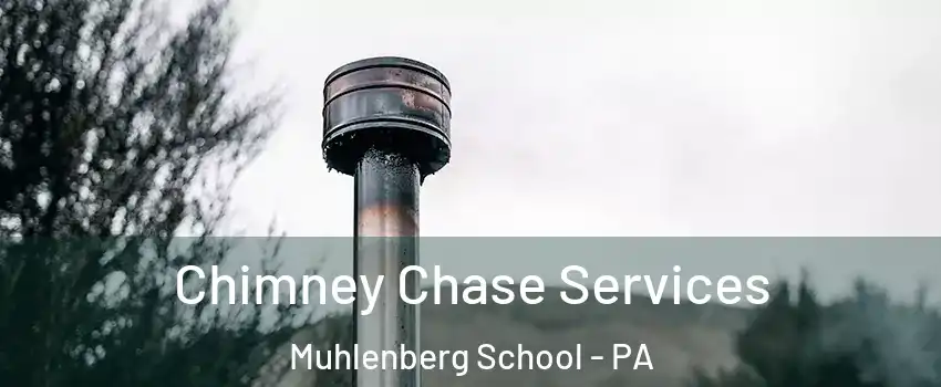 Chimney Chase Services Muhlenberg School - PA