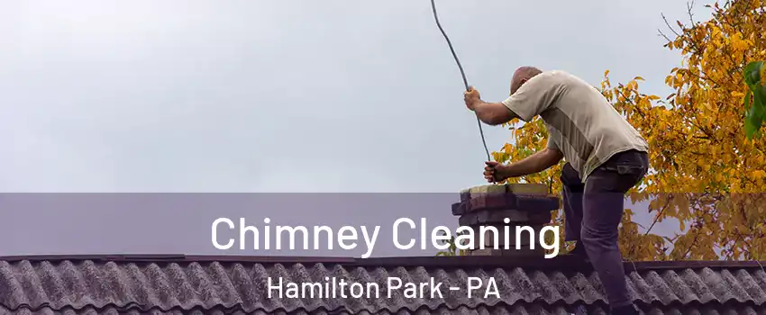 Chimney Cleaning Hamilton Park - PA