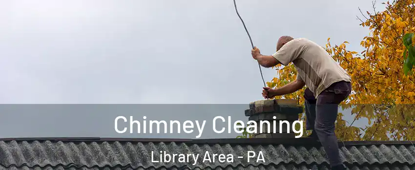 Chimney Cleaning Library Area - PA