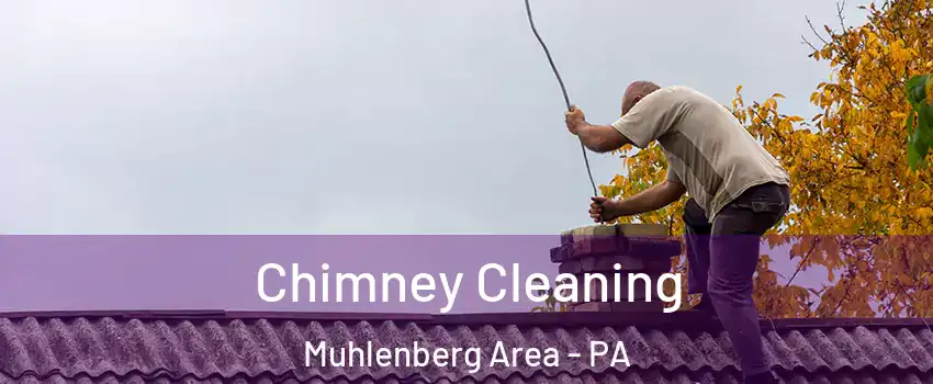 Chimney Cleaning Muhlenberg Area - PA