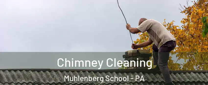 Chimney Cleaning Muhlenberg School - PA