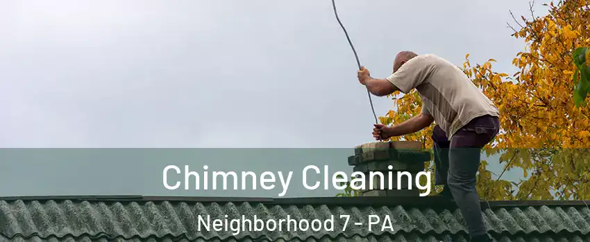 Chimney Cleaning Neighborhood 7 - PA