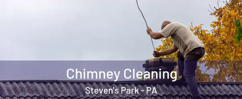 Chimney Cleaning Steven's Park - PA