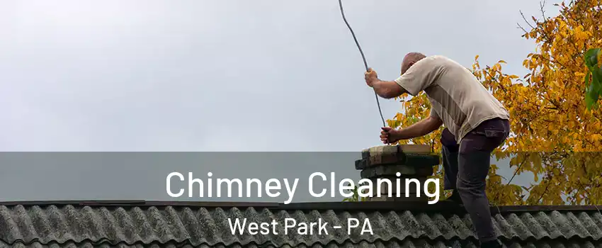 Chimney Cleaning West Park - PA