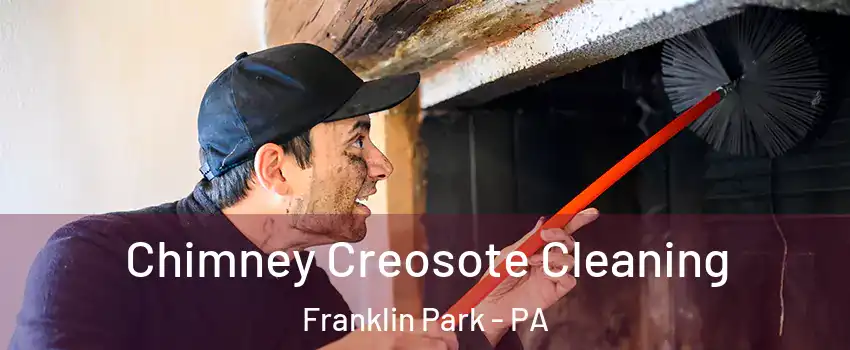 Chimney Creosote Cleaning Franklin Park - PA