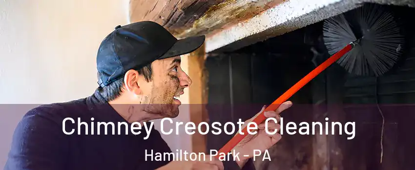 Chimney Creosote Cleaning Hamilton Park - PA