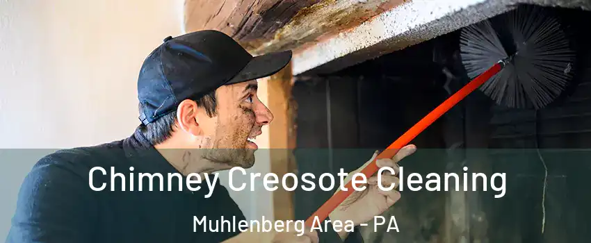 Chimney Creosote Cleaning Muhlenberg Area - PA