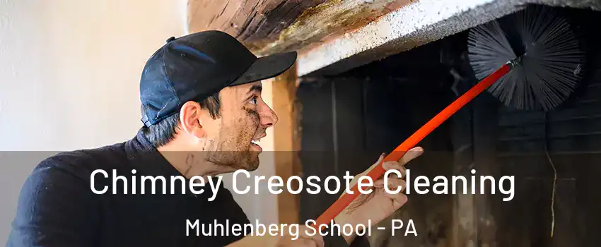 Chimney Creosote Cleaning Muhlenberg School - PA