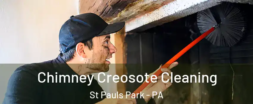 Chimney Creosote Cleaning St Pauls Park - PA