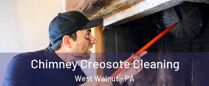 Chimney Creosote Cleaning West Walnut - PA