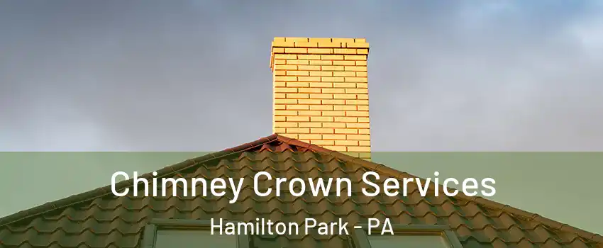 Chimney Crown Services Hamilton Park - PA