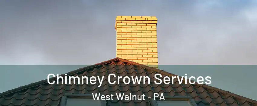 Chimney Crown Services West Walnut - PA