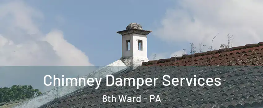 Chimney Damper Services 8th Ward - PA