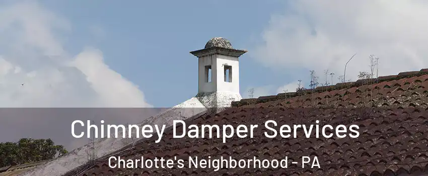 Chimney Damper Services Charlotte's Neighborhood - PA