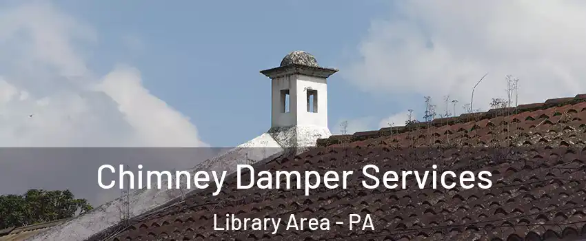 Chimney Damper Services Library Area - PA