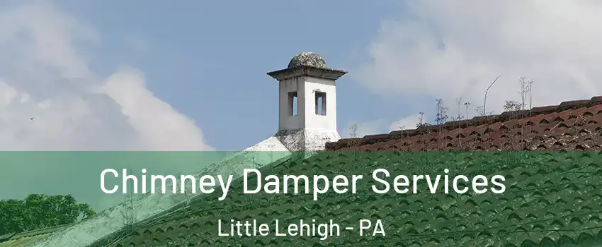 Chimney Damper Services Little Lehigh - PA