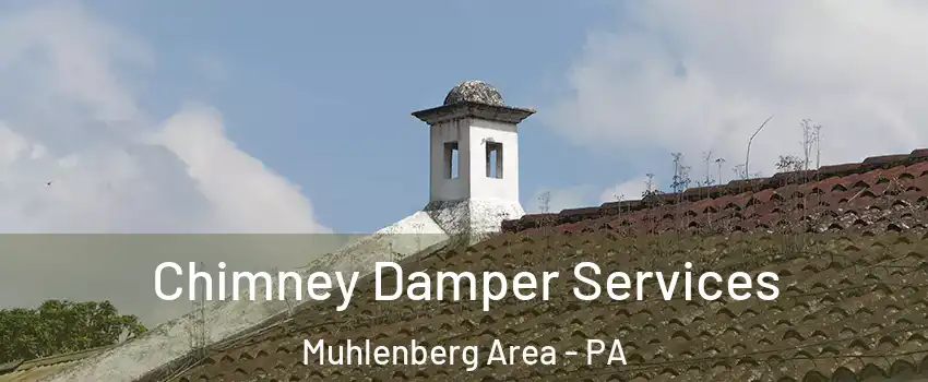 Chimney Damper Services Muhlenberg Area - PA