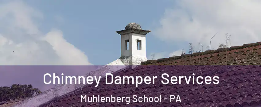 Chimney Damper Services Muhlenberg School - PA