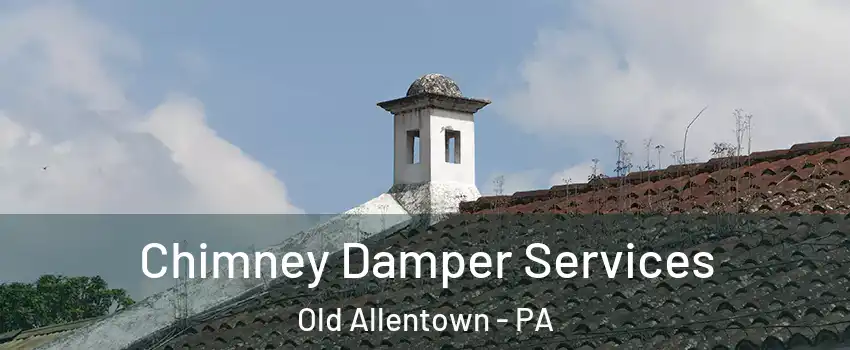 Chimney Damper Services Old Allentown - PA