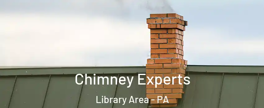 Chimney Experts Library Area - PA