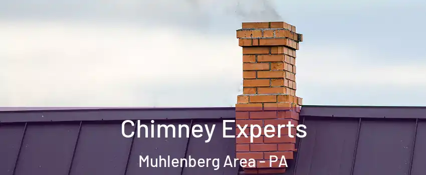 Chimney Experts Muhlenberg Area - PA