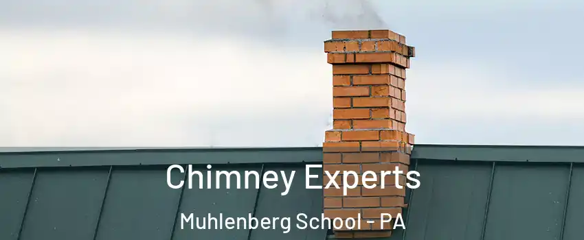 Chimney Experts Muhlenberg School - PA