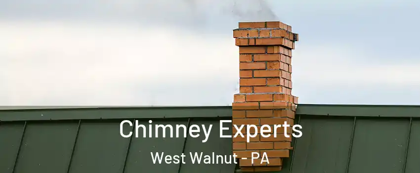 Chimney Experts West Walnut - PA