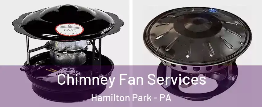 Chimney Fan Services Hamilton Park - PA