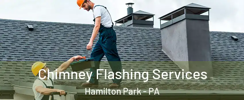 Chimney Flashing Services Hamilton Park - PA