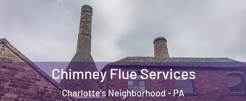 Chimney Flue Services Charlotte's Neighborhood - PA