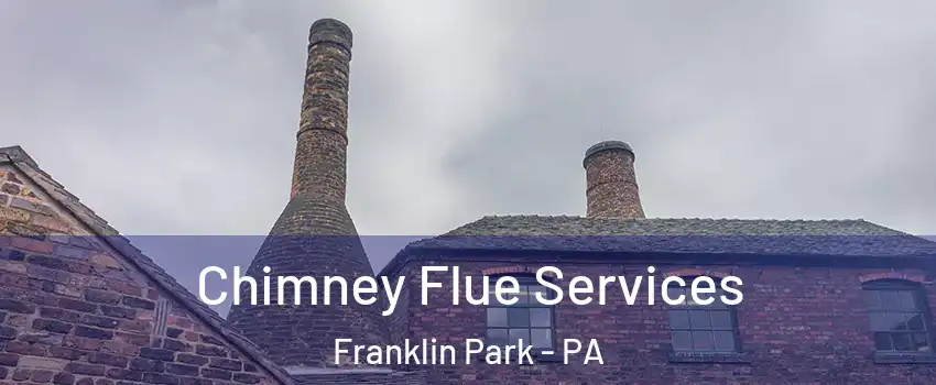 Chimney Flue Services Franklin Park - PA