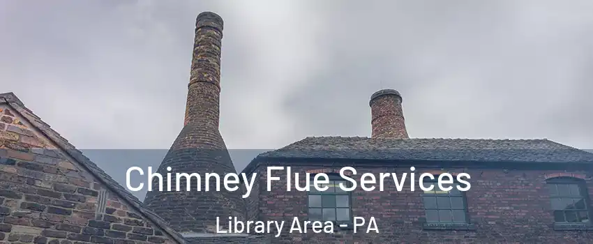 Chimney Flue Services Library Area - PA