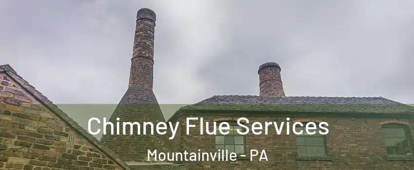 Chimney Flue Services Mountainville - PA