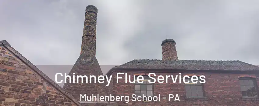 Chimney Flue Services Muhlenberg School - PA