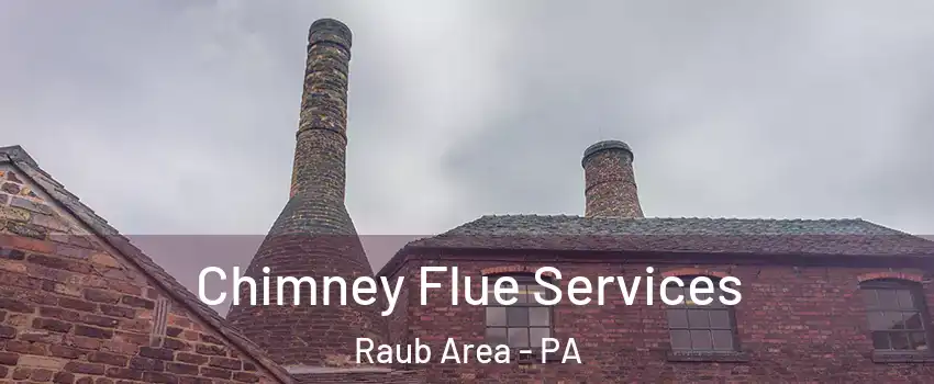 Chimney Flue Services Raub Area - PA