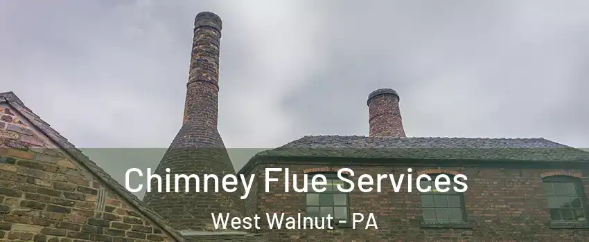 Chimney Flue Services West Walnut - PA